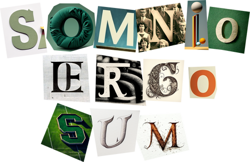 Somnio Ergo Sum