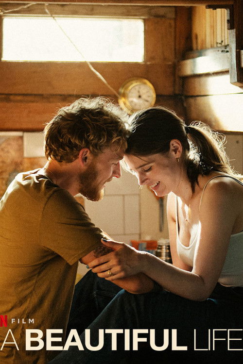 A Beautiful Life poster