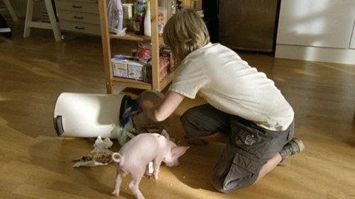 Image de l'épisode 11