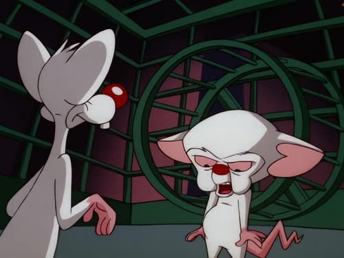 Poster della serie Pinky and the Brain