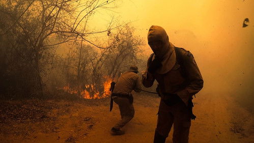 Sinfonia da Sobrevivência Poster