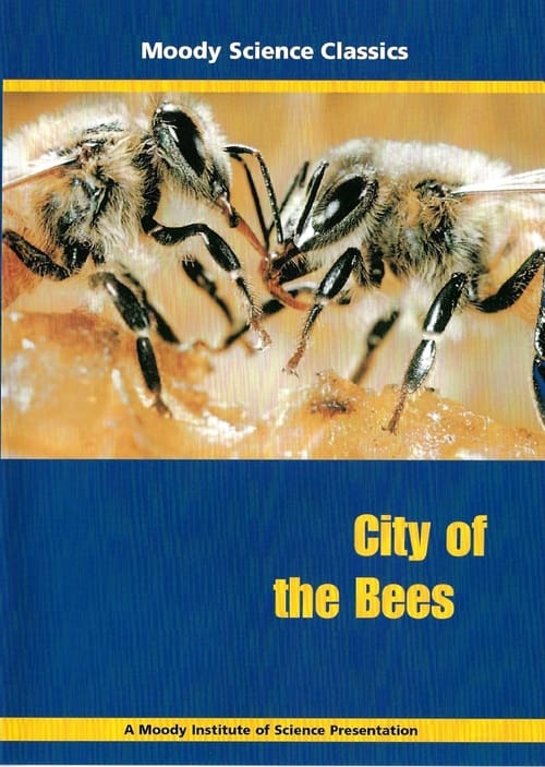 City of the Bees poster