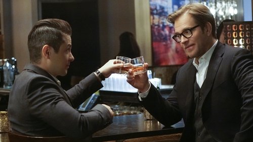 Bull: 1×8