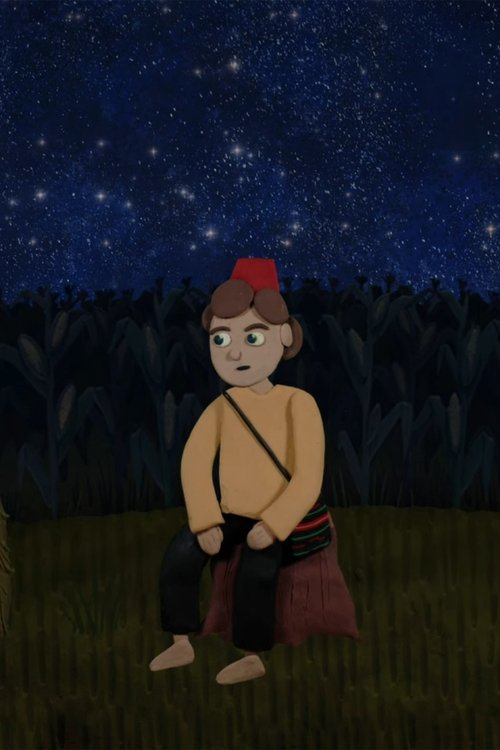 Zagledani u zvezdano nebo