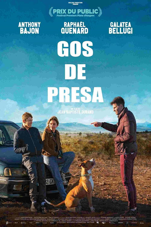 Cartell de Gos de presa