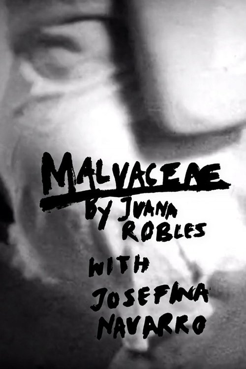 Malvaceae movie poster player