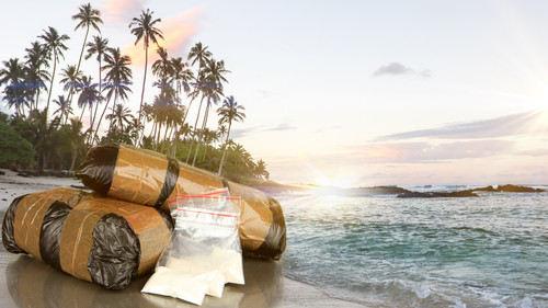 Cartel Paradise - Fiji