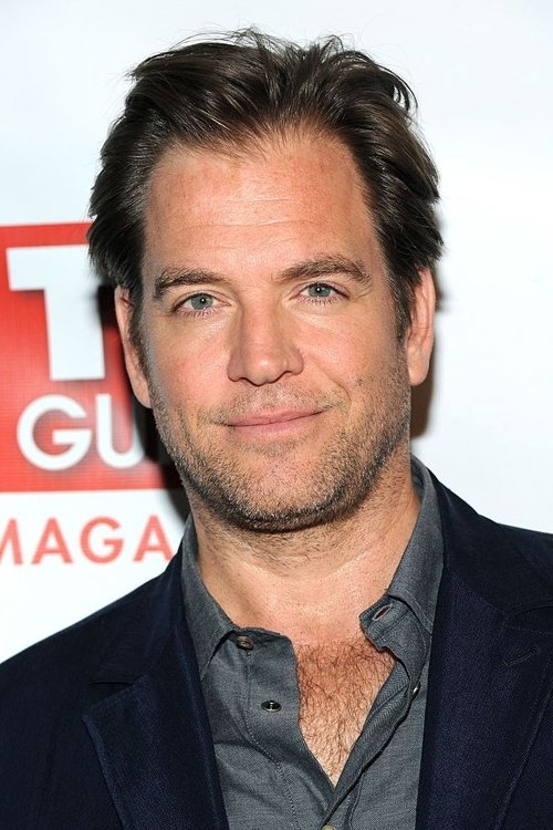 Kép: Michael Weatherly színész profilképe