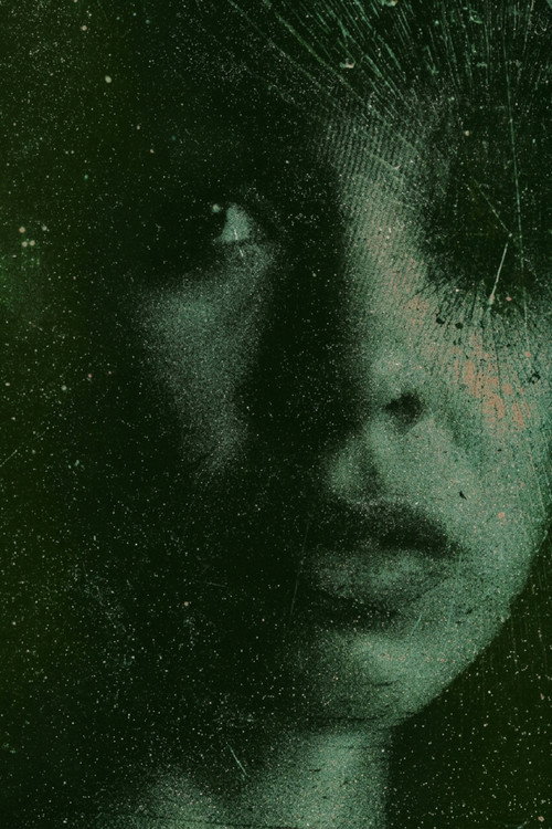 Affiche de I See the Demon