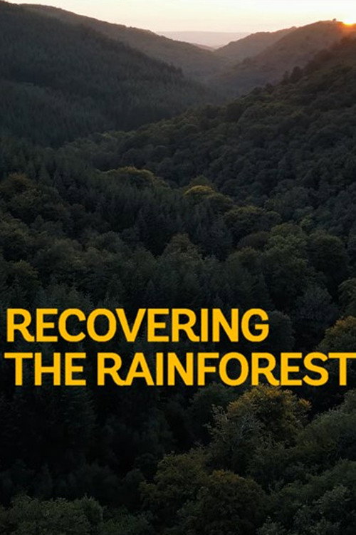 Recovering the Rainforest