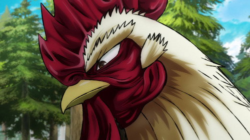 Rooster Fighter: 1×3