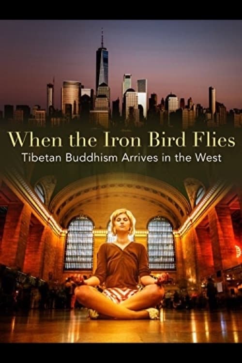 When the Iron Bird Flies (2012) poster