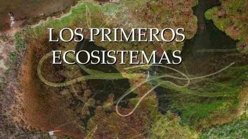 Épisode 8