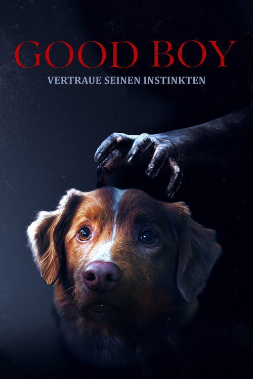 Good Boy - Trust His Instincts (2025) - Movie Poster