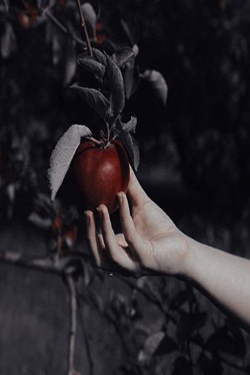 Mimetische werking van dromen