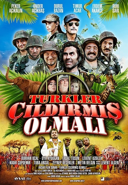 Türkler Çıldırmış Olmalı movie poster player