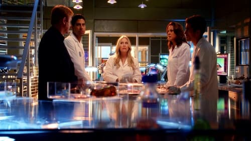 Poster della serie CSI: Miami