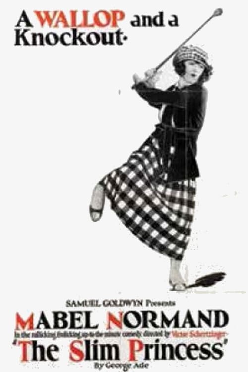 The Slim Princess (1920) poster