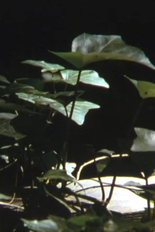 The Finite (2004) poster