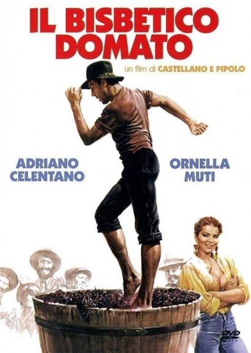 El solterón domado Online