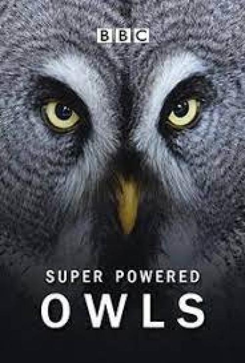 Super Powered Owls (2015)