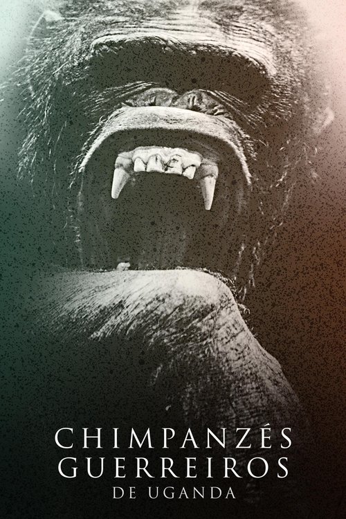 Pôster de Chimpanzés Guerreiros de Uganda
