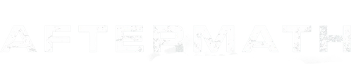 AFTERMATH (2017)