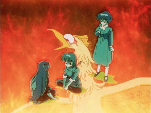 Photo 320
