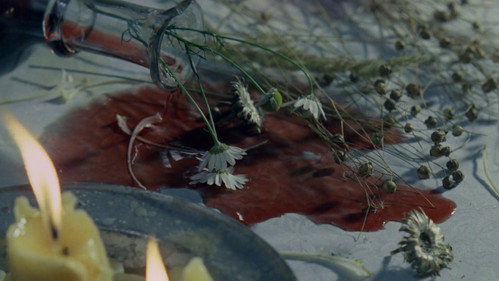 Valerie and Her Week of Wonders