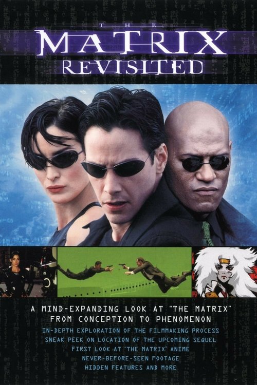 Grootschalige poster van The Matrix Revisited