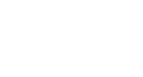 Kill the Irishman