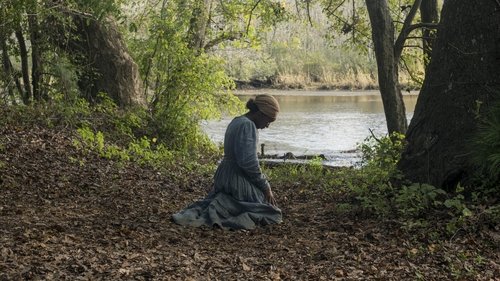 Harriet Streaming Free Films to Watch Online including Series Trailers and Series Clips