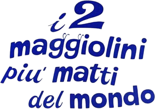 I due maggiolini più matti del mondo