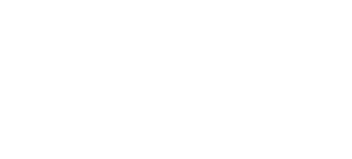 The Re-Education of Molly Singer