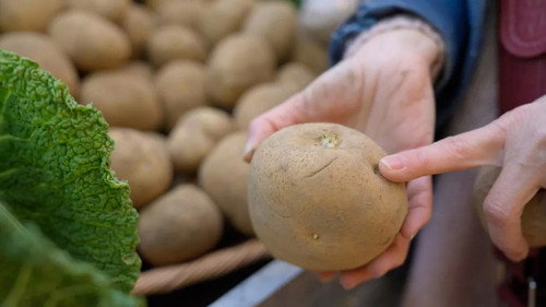 Chaud patate ! La pomme de terre en danger Backdrop Blur