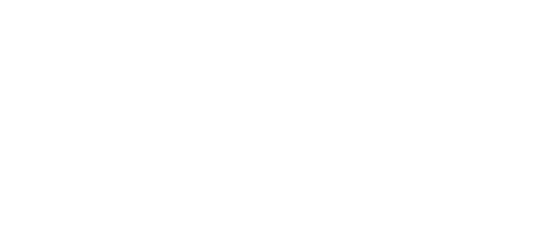 Meet the Sloths