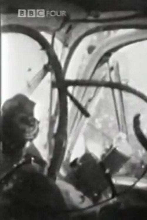 The Atrocity Exhibition (J.G. Ballard And The Motorcar)