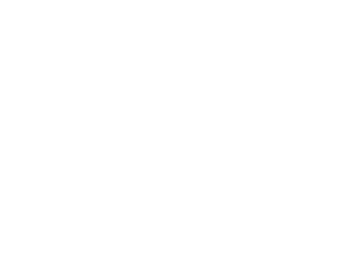 Nunta mută