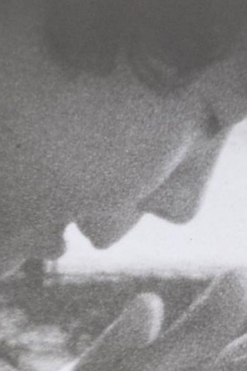 ナンマイダブ (1993) poster