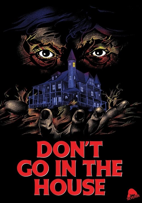 Don't Go in the House poster