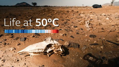 Life at 50°C: Special