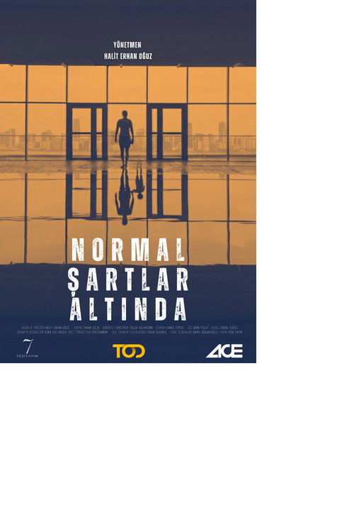 Normal Şartlar Altında