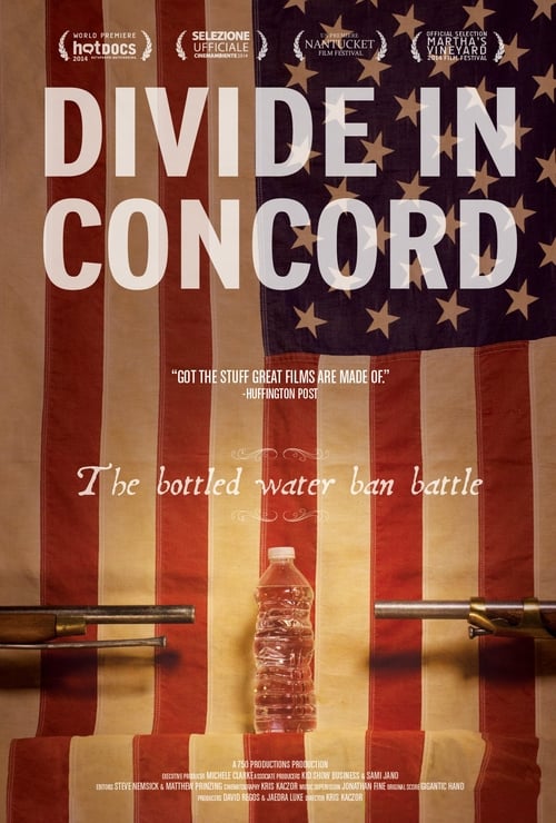 Divide In Concord poster