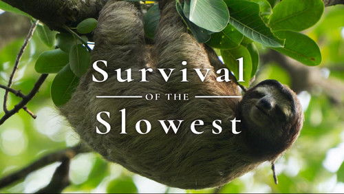 Survival of the Slowest