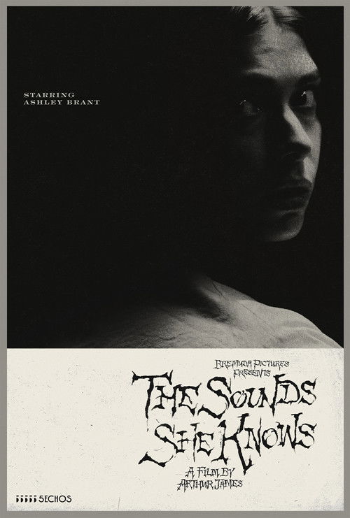 The Sounds She Knows poster