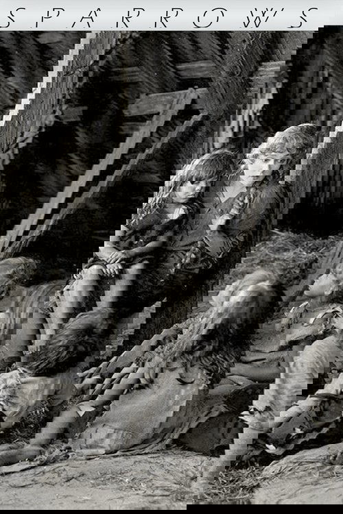 Poster 12