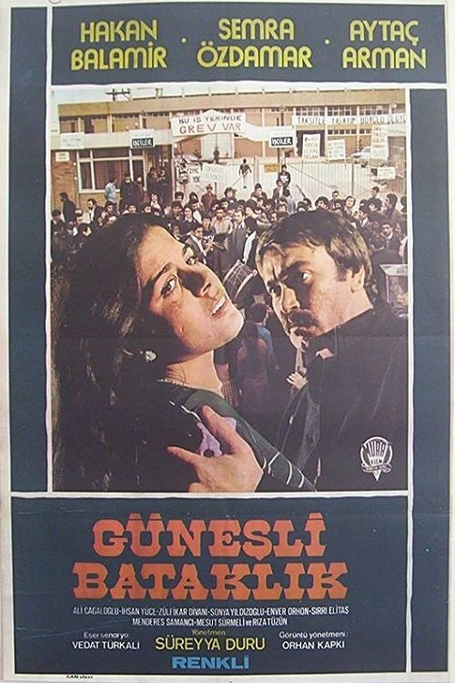 Güneşli Bataklık 1978