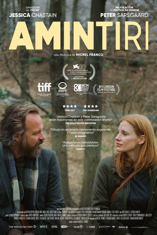 Poster pentru Amintiri