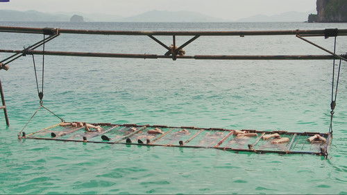 Poster della serie Robinson