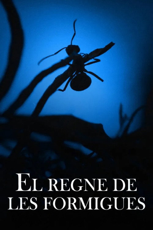 Cartell de El regne de les formigues
